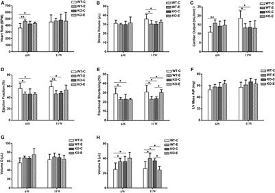 Real-Ambient Particulate Matter Exposure-Induced Cardiotoxicity in C57/B6 Mice